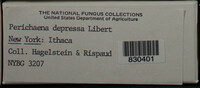 Image Associated With the Occurence